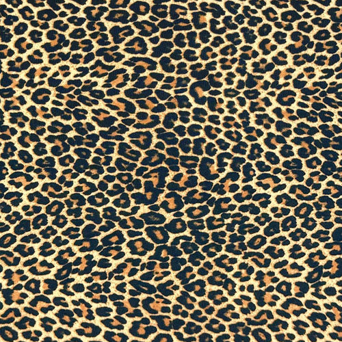 SHOP ALL: Ashter Double Band Bottoms - Leopard image
