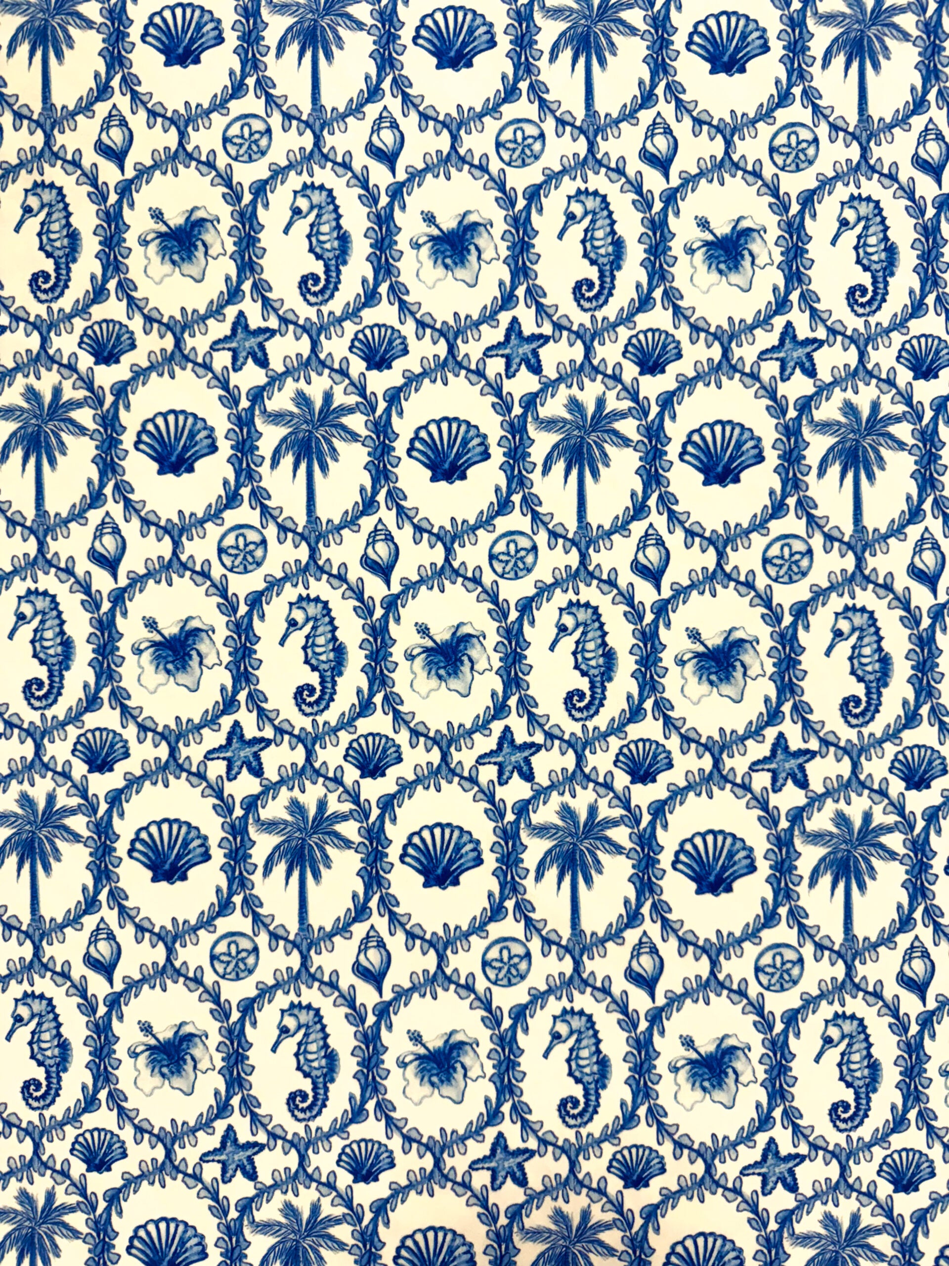 SHOP ALL: Celeste One Pieces - Coastal Granddaughter image