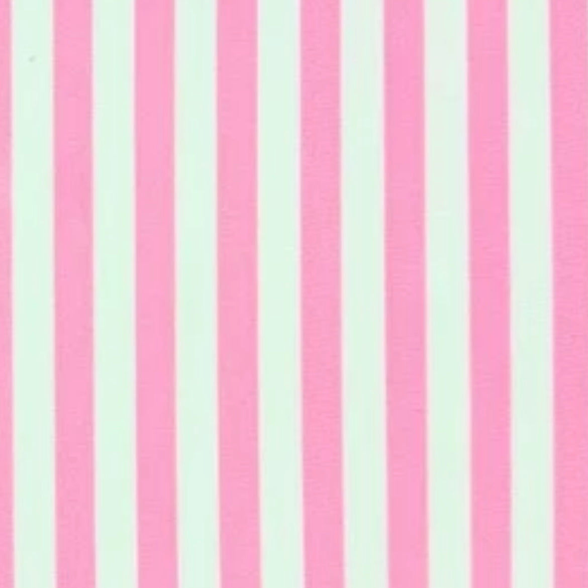 Bella Luna Bikini Bottom